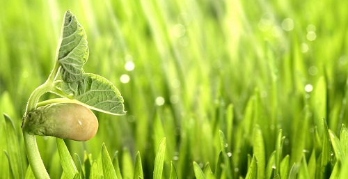 1672122596742928.png image.png