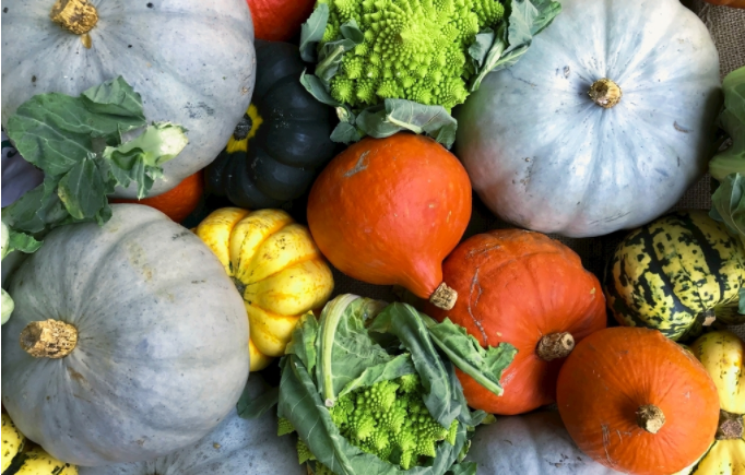 農(nóng)藥殘留測定儀是通過什么原理檢測的？