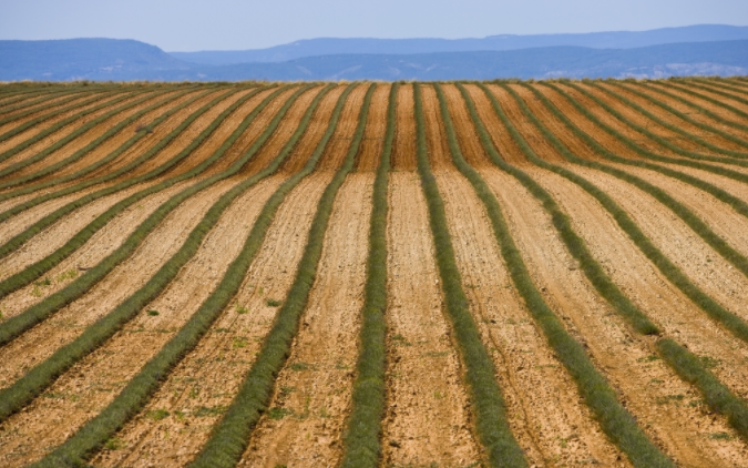 （國產(chǎn)）土壤養(yǎng)分檢測儀哪個(gè)牌子好？高智能土壤養(yǎng)分檢測儀哪家好？