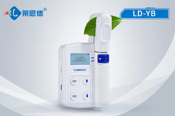 葉綠素檢測儀的實(shí)用意義：及時(shí)掌握綠素、葉面溫度等數(shù)據(jù)