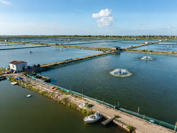 水產(chǎn)品抗生素檢測的國家標準有哪些?水產(chǎn)抗生素檢測行業(yè)的市場規(guī)模有多大?